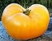 50 semillas de tomate huerto, granja plantación semillas de hortalizas carne de naranja llena de naranja semillas raras esenciales nuevo 2024