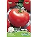 Germisem Pyros F1 Semillas de Tomate 0.1 g, EC8007 nuevo 2024