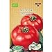 Germisem Orgánica ACE 55 VF Semillas de Tomate 0.5 g (ECBIO8019) nuevo 2024